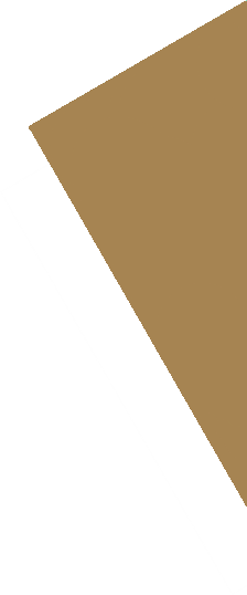 Raie Initial 